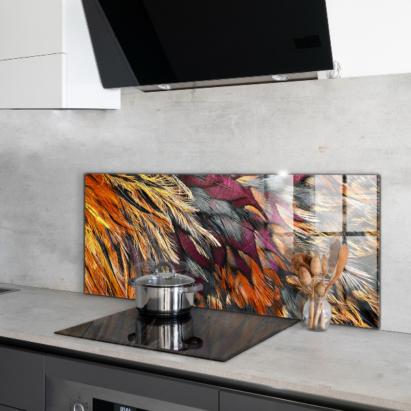 Glass splashback Colorful bird feathers