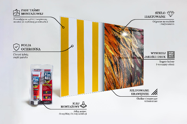 Glass splashback Colorful bird feathers