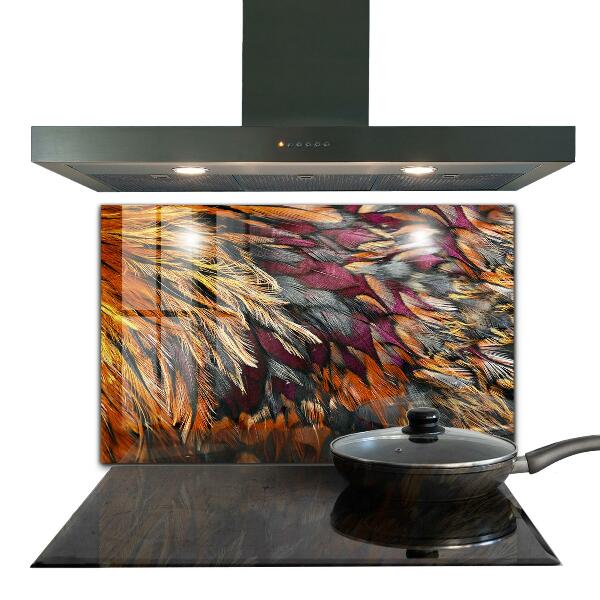 Glass splashback Colorful bird feathers