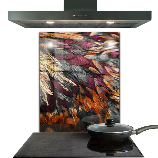 Glass splashback Colorful bird feathers