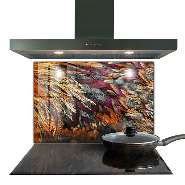 Glass splashback Colorful bird feathers