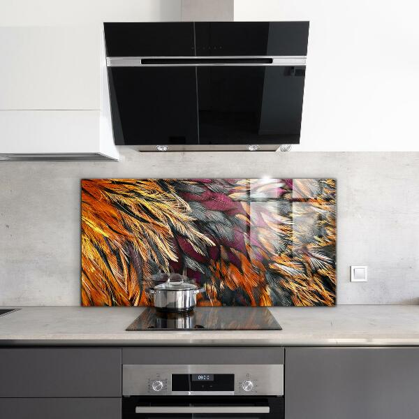 Glass splashback Colorful bird feathers