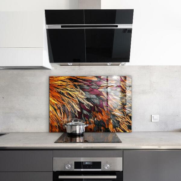Glass splashback Colorful bird feathers