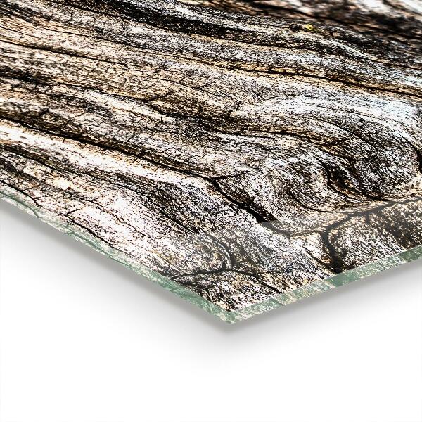 Glass splashback Tree bark trunk