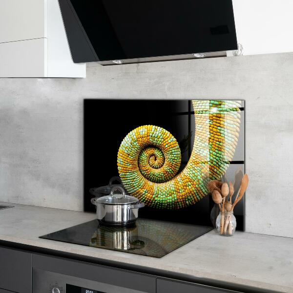 Cooker splashback Chameleon tail nature