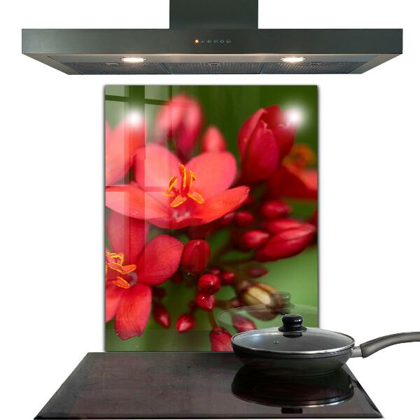 Kitchen wall panels Blooming flower buds