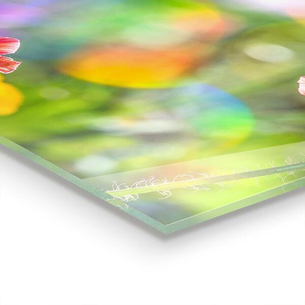 Kitchen wall panels Summer meadow of poppies