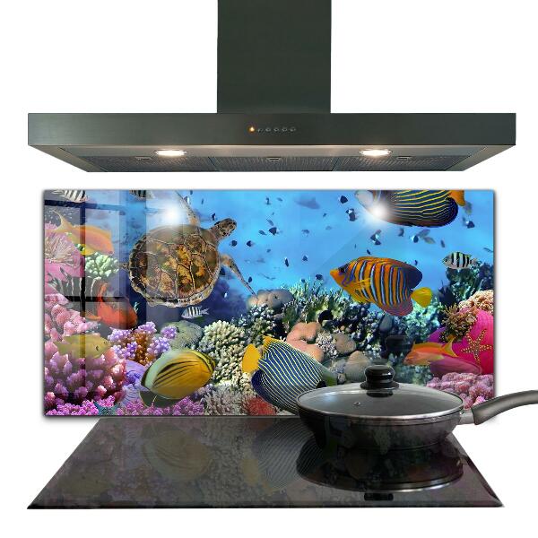 Cooker splashback Barrier reef caribbean