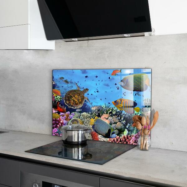 Cooker splashback Barrier reef caribbean