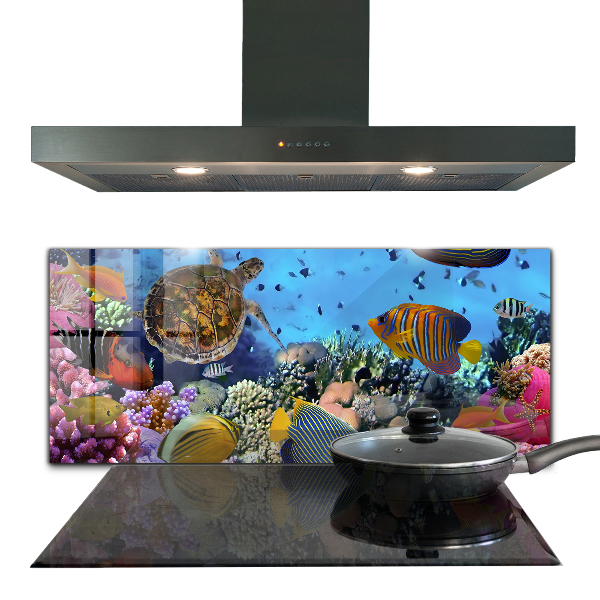 Cooker splashback Barrier reef caribbean
