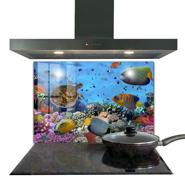 Cooker splashback Barrier reef caribbean