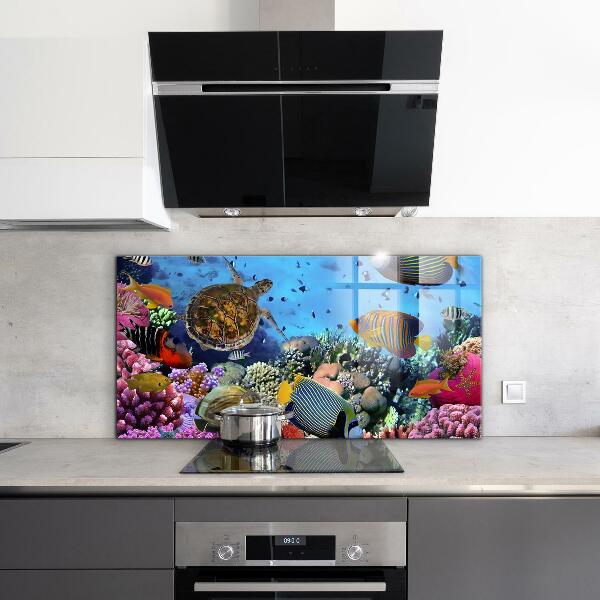 Cooker splashback Barrier reef caribbean