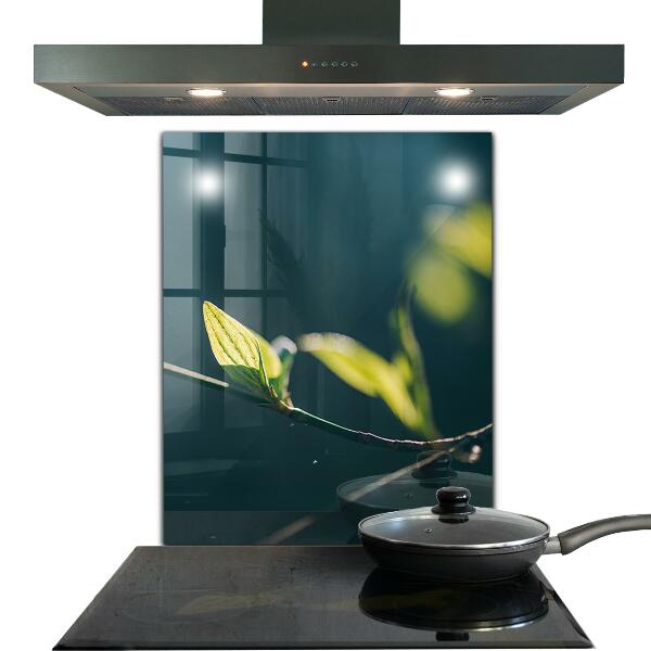 Kitchen wall panels Shiny leaf on branch