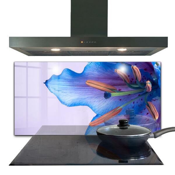 Kitchen wall panels Beautiful blue lily