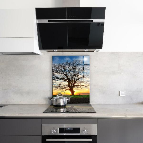 Cooker splashback Landscape meadow in the morning