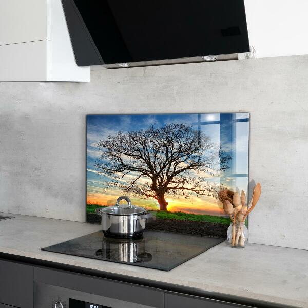 Cooker splashback Landscape meadow in the morning