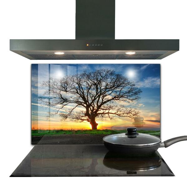 Cooker splashback Landscape meadow in the morning