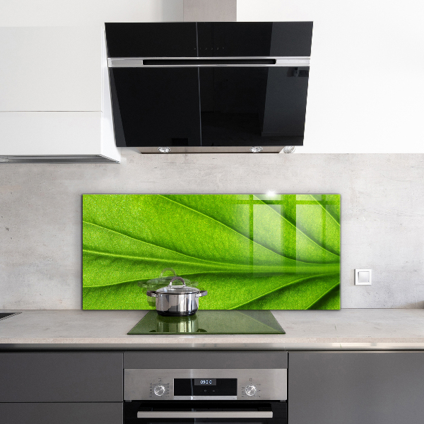 Kitchen wall panels Green leaf details
