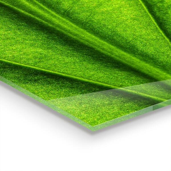 Kitchen wall panels Green leaf details