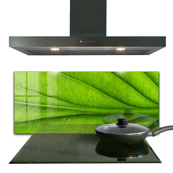 Kitchen wall panels Green leaf details