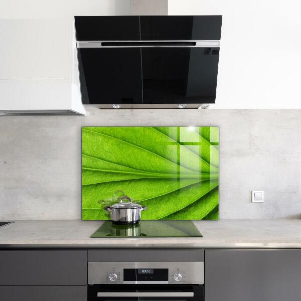 Kitchen wall panels Green leaf details