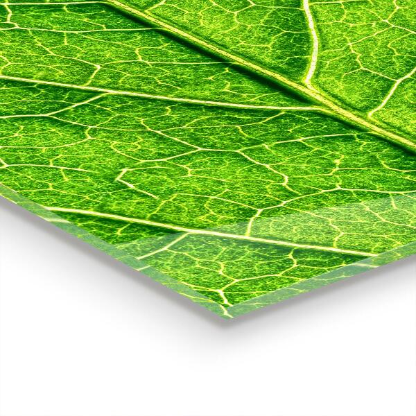 Kitchen wall panels Delicate leaf details