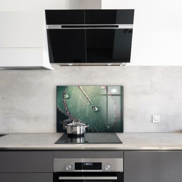 Kitchen wall panels Leaf with a dew drop