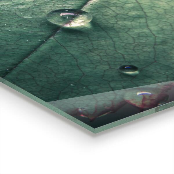 Kitchen wall panels Leaf with a dew drop