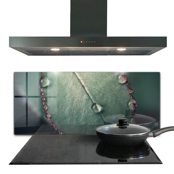 Kitchen wall panels Leaf with a dew drop
