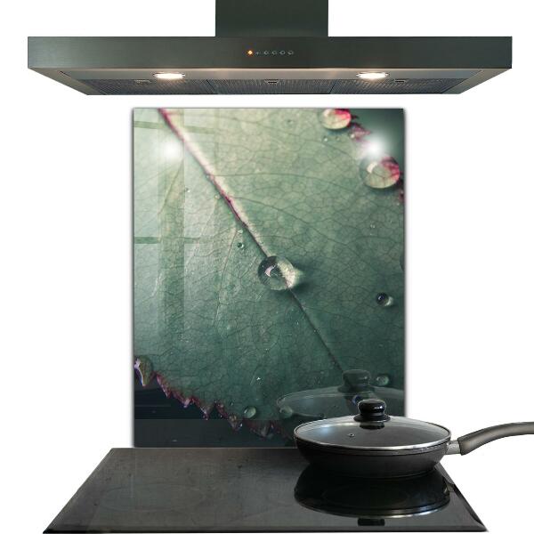 Kitchen wall panels Leaf with a dew drop