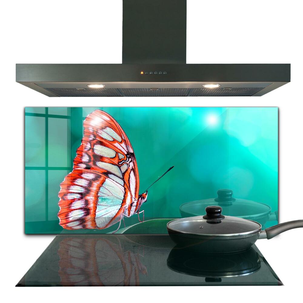 Cooker splashback Beautiful butterfly in nature