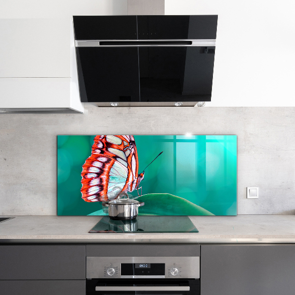 Cooker splashback Beautiful butterfly in nature