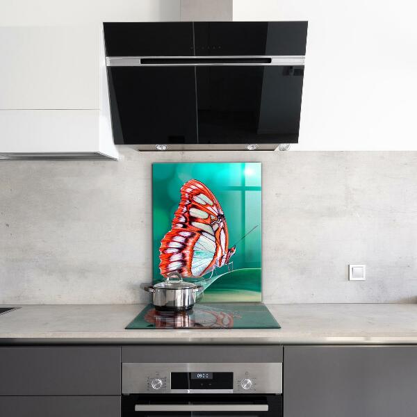Cooker splashback Beautiful butterfly in nature