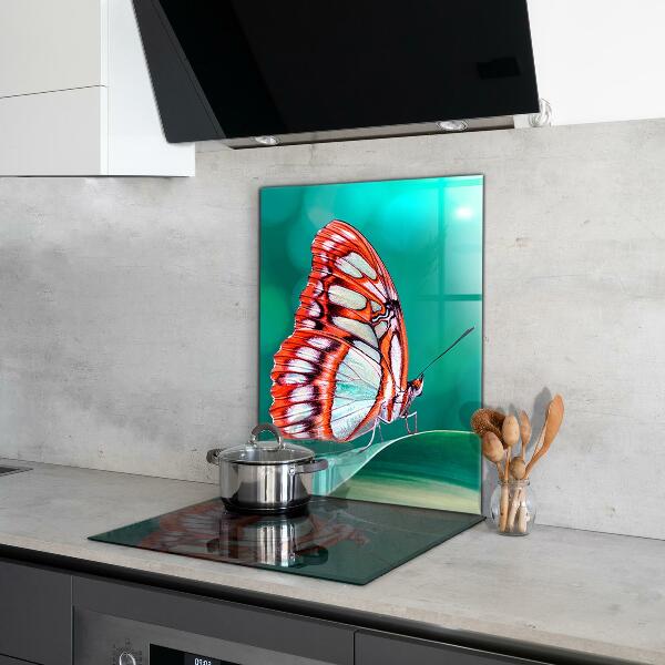 Cooker splashback Beautiful butterfly in nature