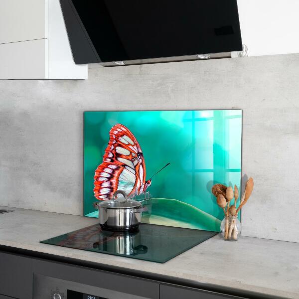 Cooker splashback Beautiful butterfly in nature