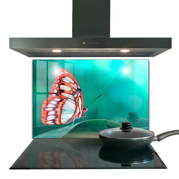 Cooker splashback Beautiful butterfly in nature