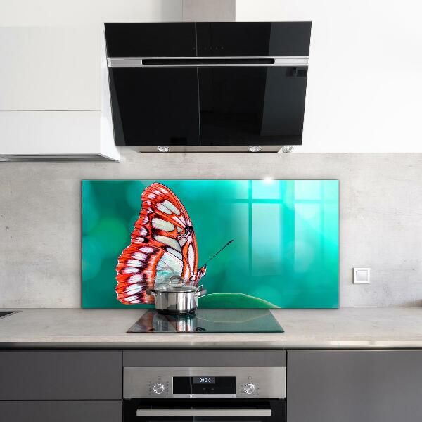 Cooker splashback Beautiful butterfly in nature