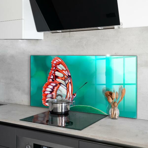 Cooker splashback Beautiful butterfly in nature
