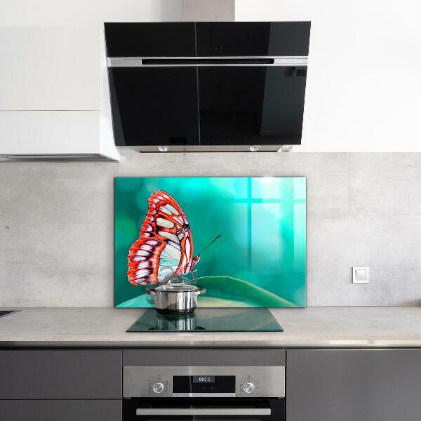 Cooker splashback Beautiful butterfly in nature
