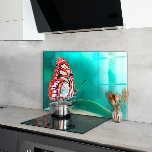 Cooker splashback Beautiful butterfly in nature