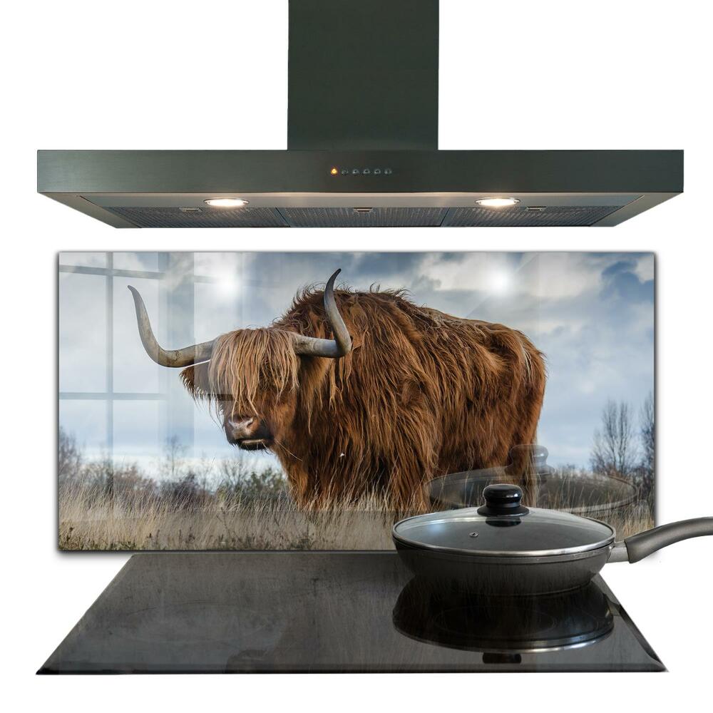Kitchen splashback Highland boho cow