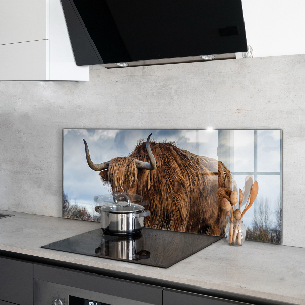 Kitchen splashback Highland boho cow
