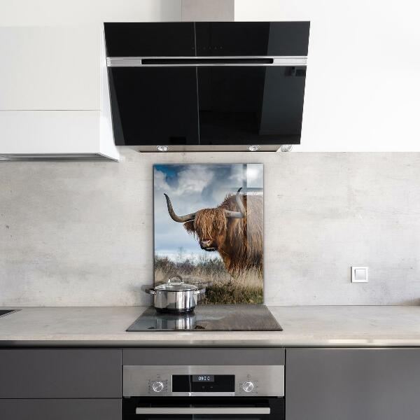 Kitchen splashback Highland boho cow