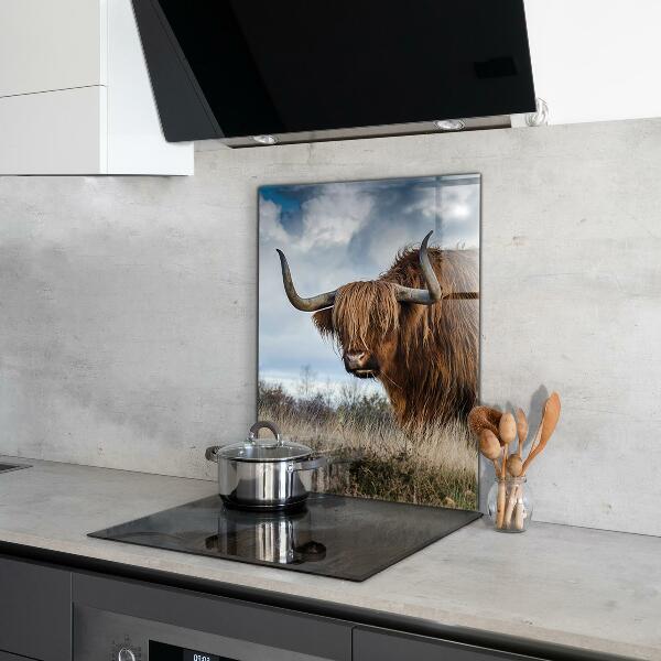 Kitchen splashback Highland boho cow