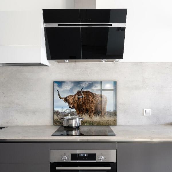 Kitchen splashback Highland boho cow