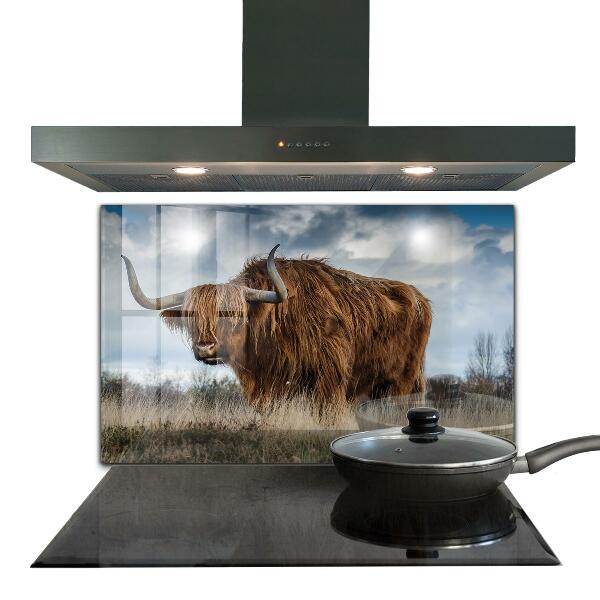 Kitchen splashback Highland boho cow