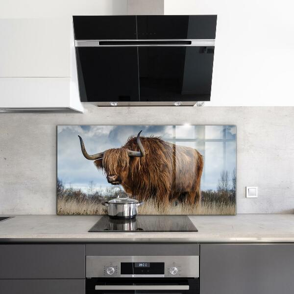 Kitchen splashback Highland boho cow