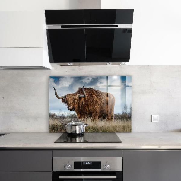 Kitchen splashback Highland boho cow
