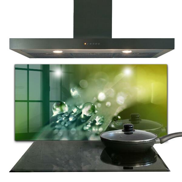 Kitchen wall panels Dew on green leaves