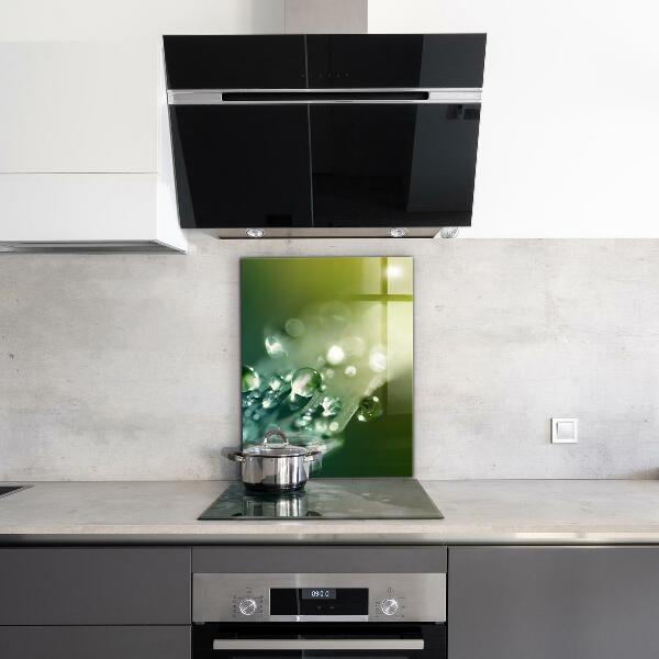 Kitchen wall panels Dew on green leaves